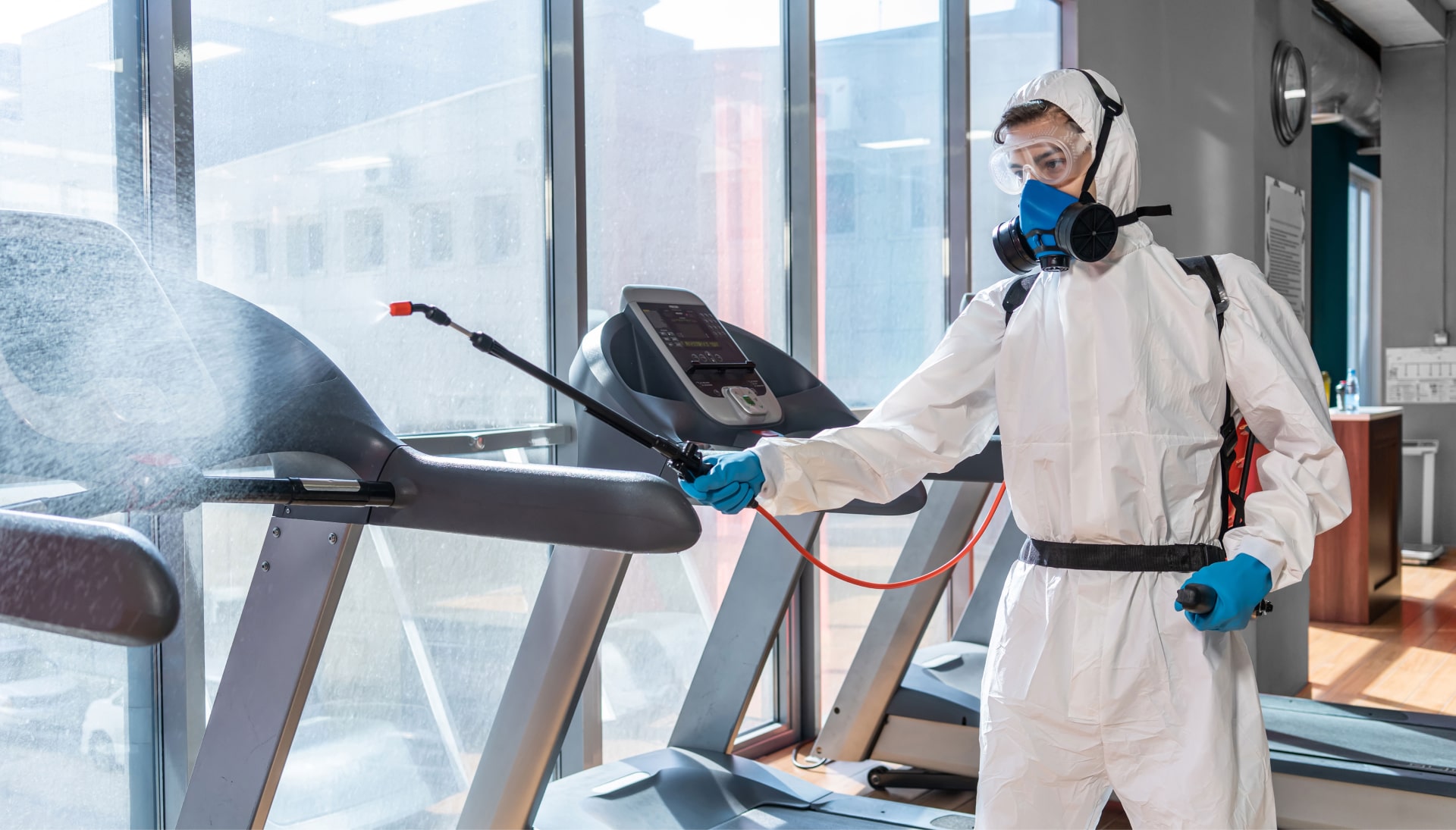 Commercial Mold Removal Services in Santa Monica