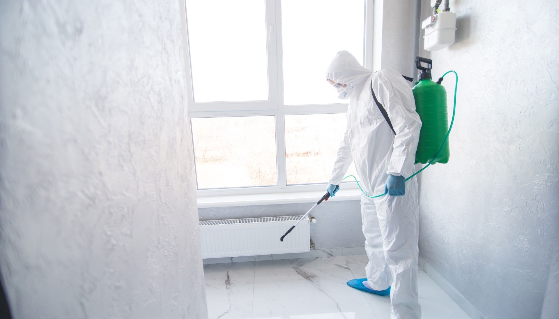 Mold Inspection Services in Santa Monica