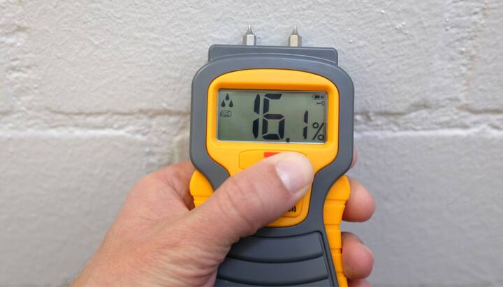 Mold Testing in Santa Monica